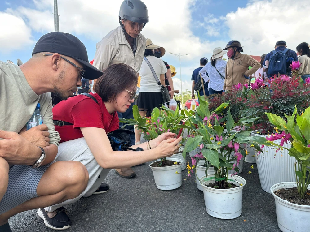 TẾT DƯƠNG LỊCH