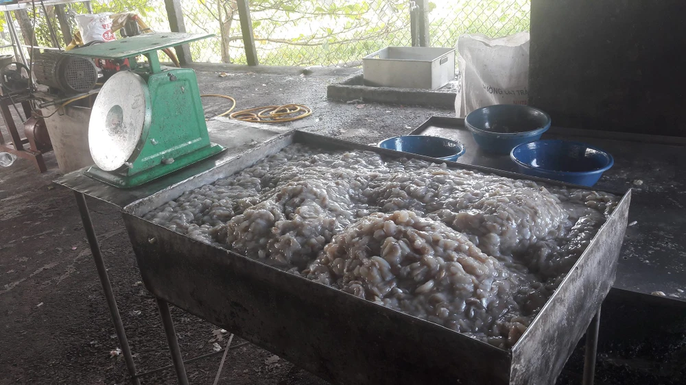 Bắt điểm chế biến cà phê và khô cá sử dụng phụ gia ảnh 6