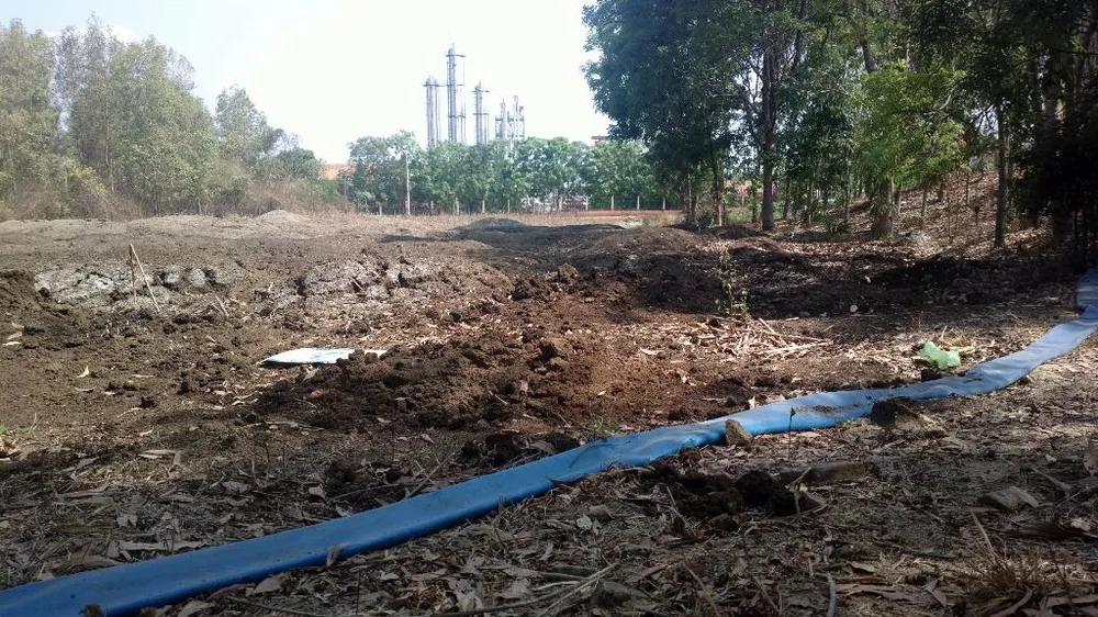 Nhà máy ở Đồng Nai xả thải, dân Bình Thuận lãnh đủ ảnh 1