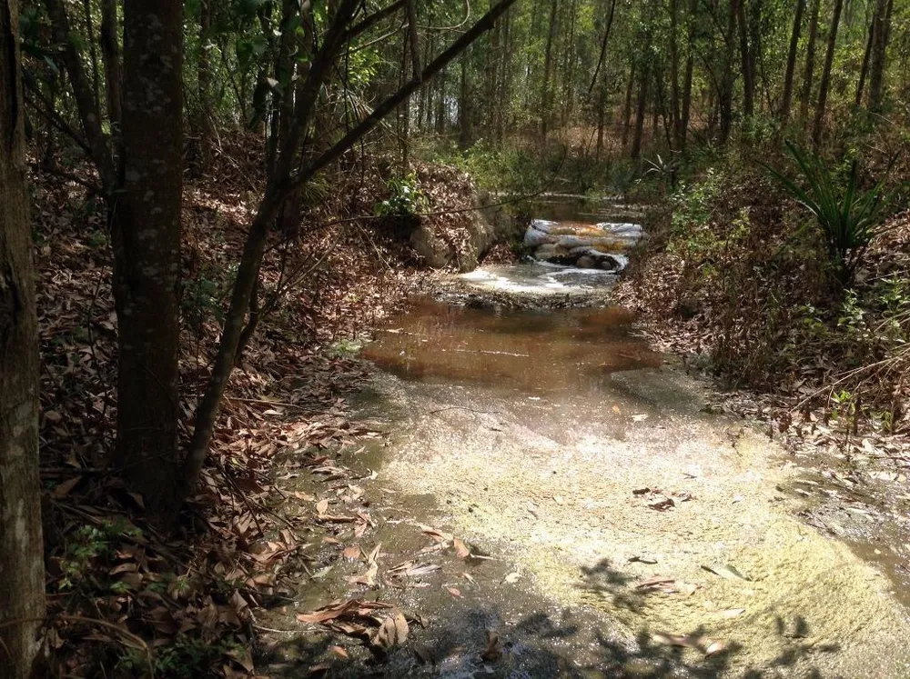 Nhà máy ở Đồng Nai xả thải, dân Bình Thuận lãnh đủ ảnh 2