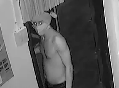 'Ma nhớt' lại xuất hiện ở Bình Thuận ảnh 1