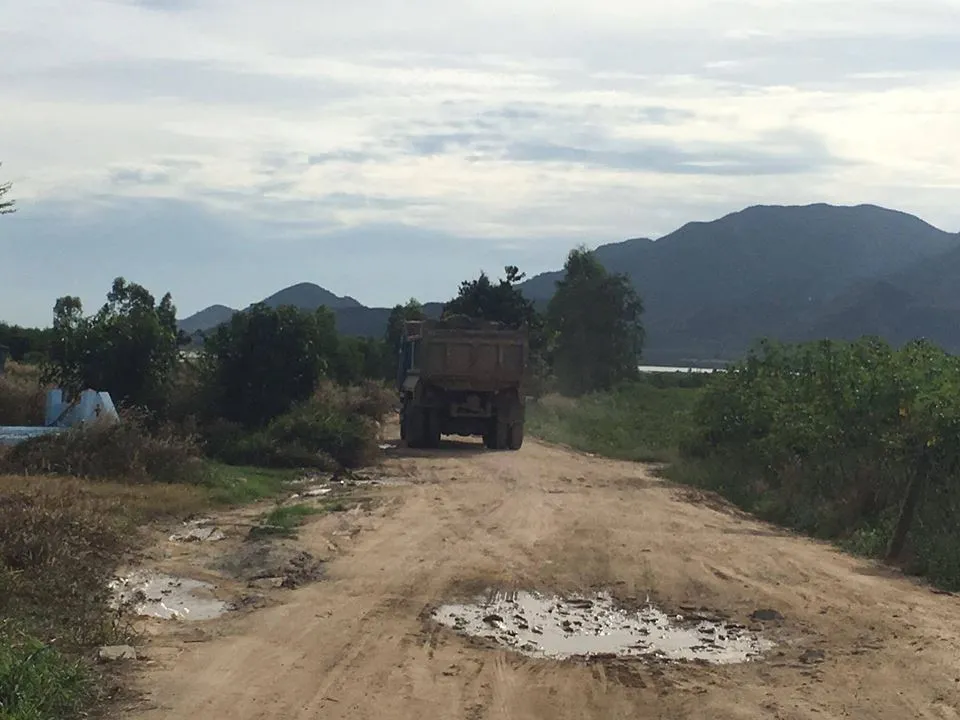 Xử lý nghiêm cán bộ 'bảo kê' khai thác cát lậu ảnh 3