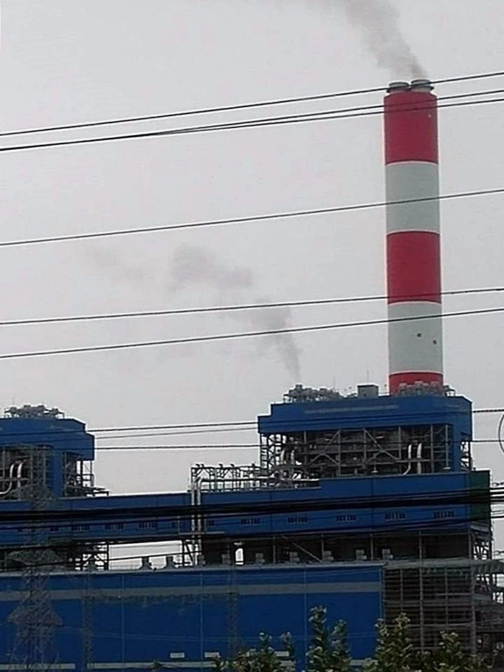 Hải sản chết bất thường gần Nhiệt điện Vĩnh Tân 4 ảnh 1