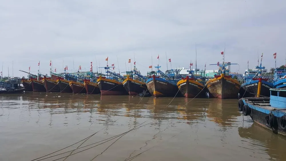 Bão số 16: Bình Thuận còn 683 tàu hoạt động trên biển ảnh 1