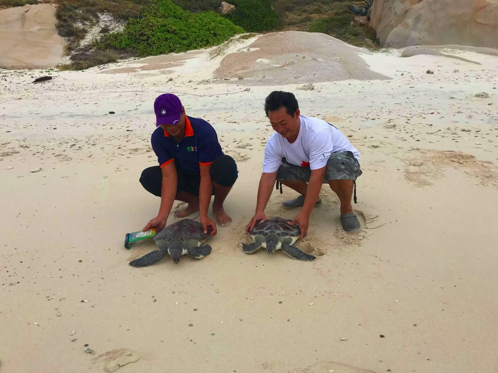 Facebook, đồi mồi và vây cá mập ảnh 5