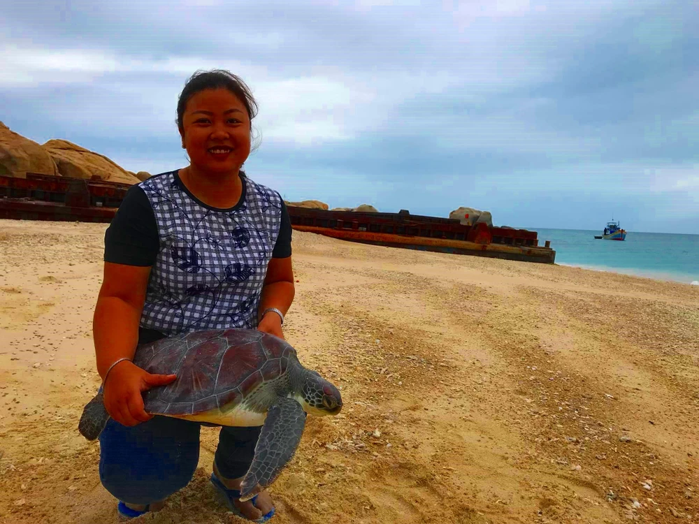 Facebook, đồi mồi và vây cá mập ảnh 3