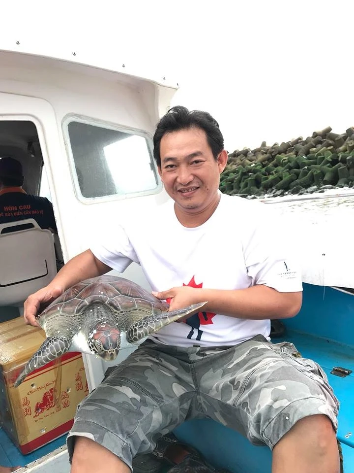 Facebook, đồi mồi và vây cá mập ảnh 2