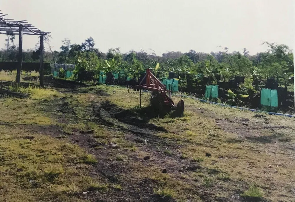 Dũng Cam hành hạ trẻ em ở Campuchia bị bệnh nặng ảnh 2