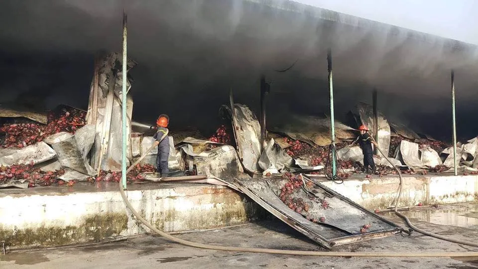 Cháy vựa thanh long, 1 cảnh sát bị thương ảnh 1 Cháy vựa thanh long, 1 cảnh sát bị thương ảnh 1