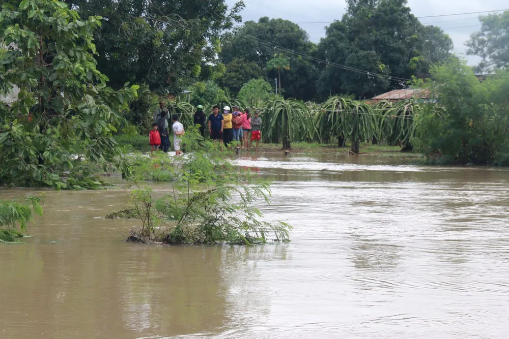 Bình Thuận: Thanh long ngập nước, 200 hộ dân bị chia cắt ảnh 2 Bình Thuận: Thanh long ngập nước, 200 hộ dân bị chia cắt ảnh 2