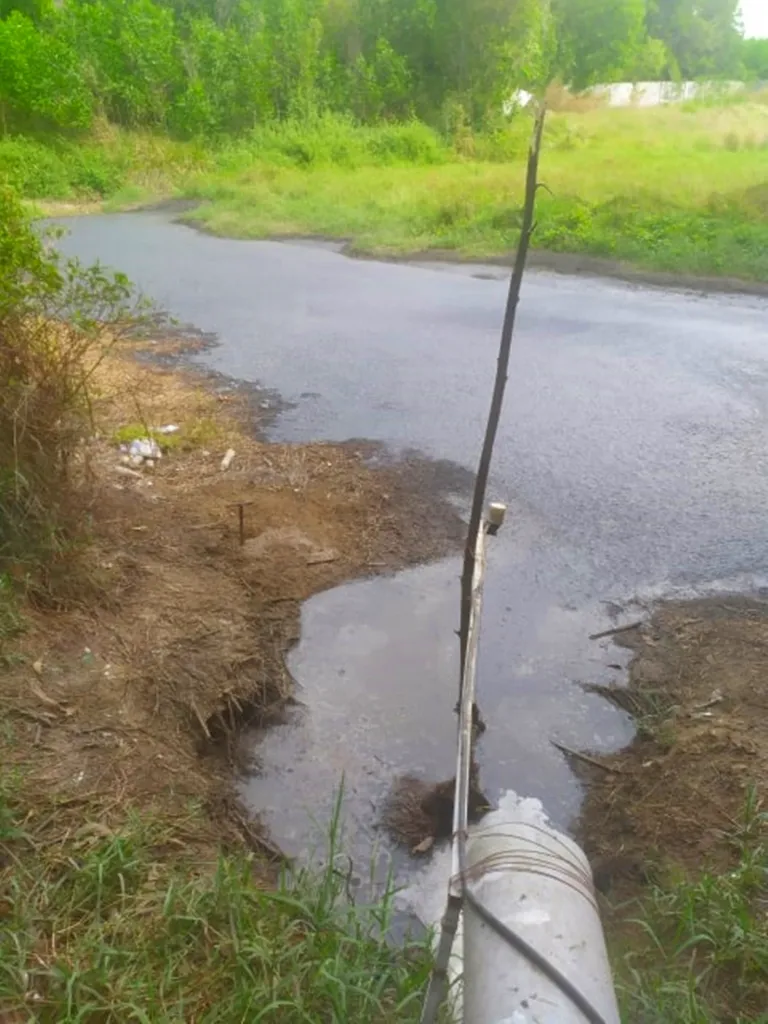 Trại heo xả thải ra nguồn cung cấp nước cho nhà máy La Gi ảnh 3