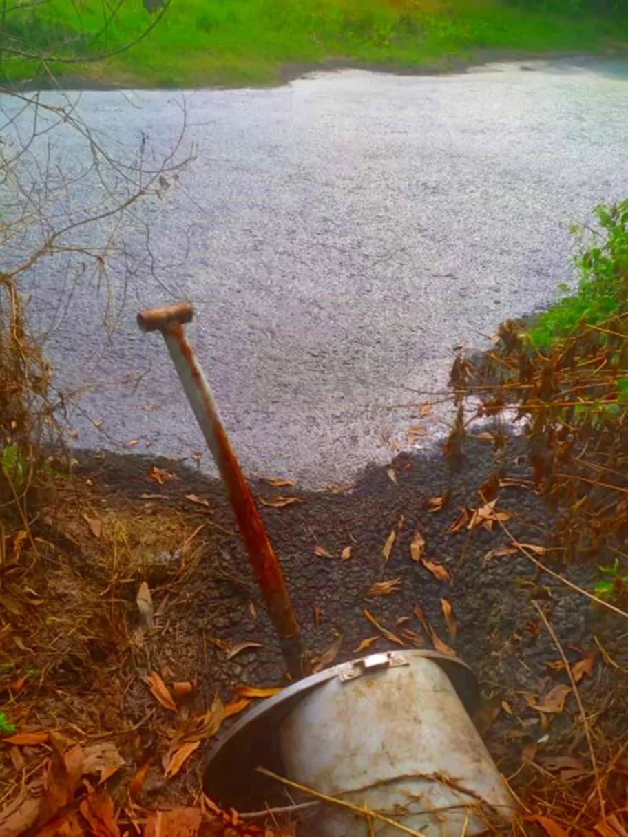 Trại heo xả thải ra nguồn cung cấp nước cho nhà máy La Gi ảnh 4