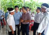 Vụ tai nạn 8 người chết ở Bình Thuận: Tang thương xóm nghèo!
