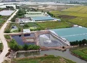 Khắc phục ô nhiễm trang trại heo khủng trên đồi cao ảnh 3 Loạt 6 trang trại heo xả thải gây ô nhiễm