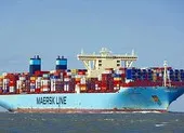 Tàu Liên bang Nga cứu 2 thuyền viên trôi trên biển Bình Thuận ảnh 2 Bình Thuận cảnh báo tàu MARIMOTO MARU đang trôi dạt, trên tàu không có người