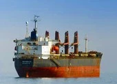 Phát hiện thi thể thuyền viên gặp nạn trôi dạt trên vùng biển Vũng Tàu ảnh 2 Tàu Liên bang Nga cứu 2 thuyền viên trôi trên biển Bình Thuận