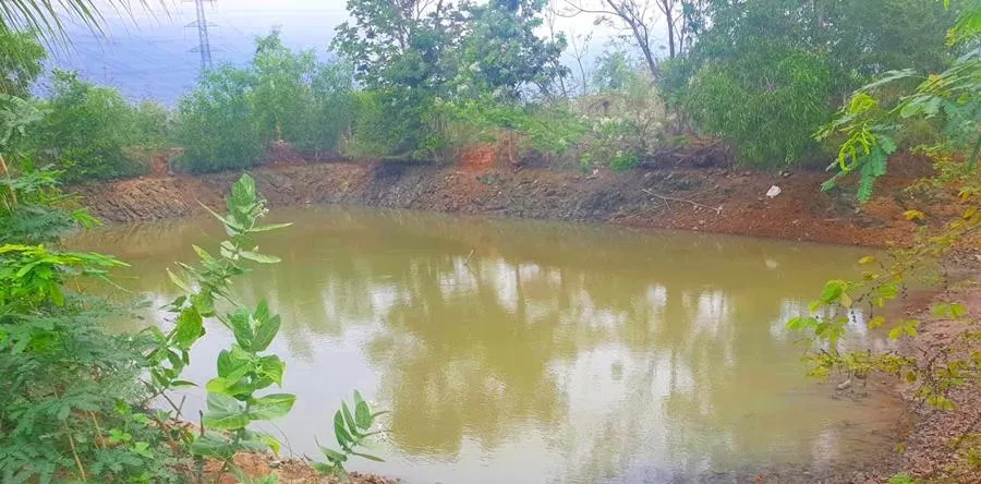 Ao nước nơi phát hiện thi thể nạn nhân. Ảnh PĐ