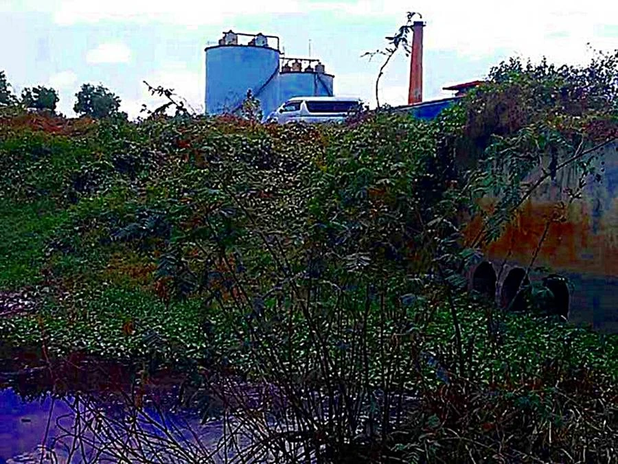 Một góc nhà máy cồn Tùng Lâm. Ảnh chụp 2013.