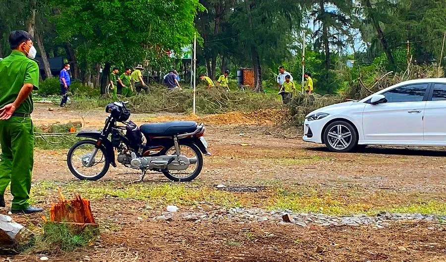 Lực lượng chức năng số lượng cây bị triệt hạ. Ảnh: PĐ Lực lượng chức năng số lượng cây bị triệt hạ. Ảnh: PĐ