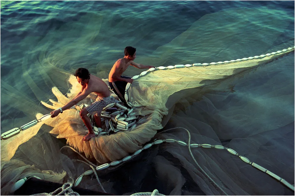 Bình minh trên biển khơi, giải Đặc biệt Asahi Shimbun Nhật Bản.