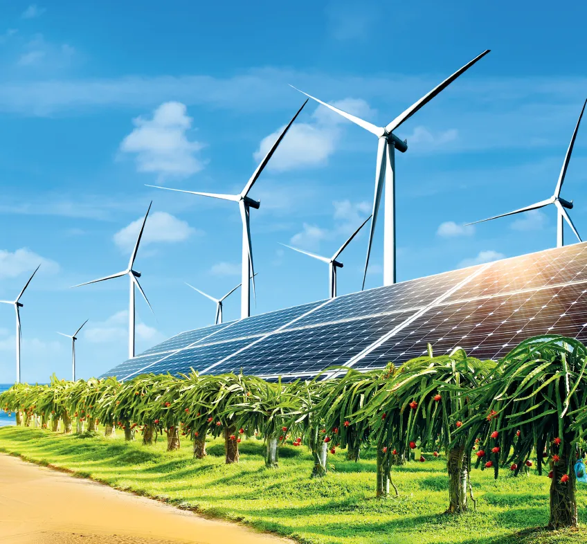 Bình Thuận có rất nhiều thế mạnh như nông nghiệp, năng lượng nhưng vẫn là tỉnh nghèo.