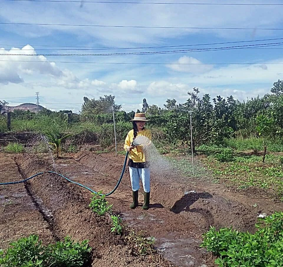 Cô gái được cho là NTVA đang tưới rau tại Bình Tân, Bắc Bình, Bình Thuận. Ảnh FB.