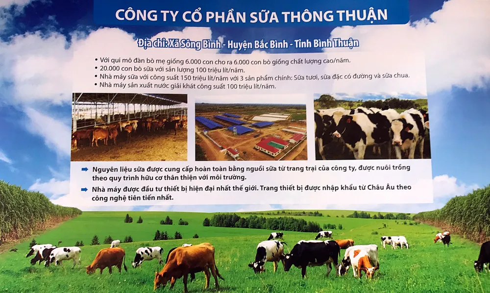 Dự án được kỳ vọng là trang trại chăn nuôi, chế biến sữa với quy mô lớn. Ảnh PN.