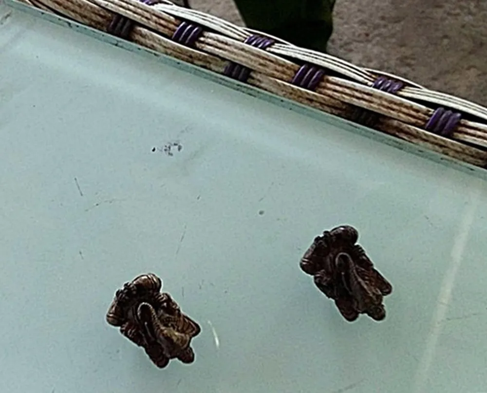 Hai cục kim loại mà bà Đinh cho rằng là "đồng đổi màu". Ảnh: PĐ Hai cục kim loại mà bà Đinh cho rằng là "đồng đổi màu". Ảnh: PĐ