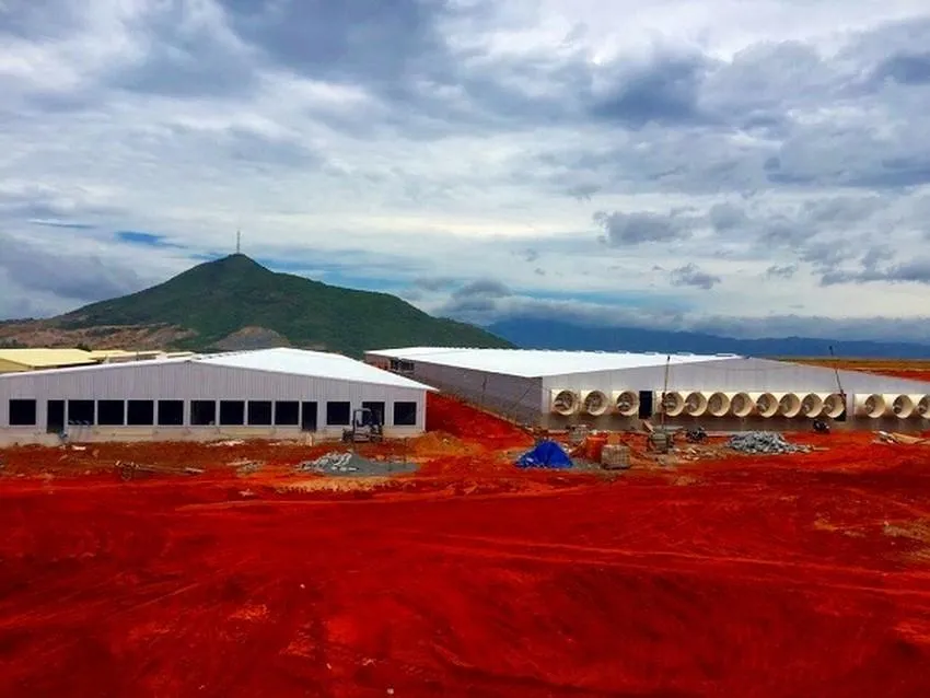 Trang trại chăn nuôi heo công nghệ cao Làng Việt Nam.