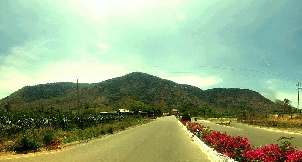 Núi Tà Cú cách QL1A khoảng 2 km. Núi Tà Cú cách QL1A khoảng 2 km.