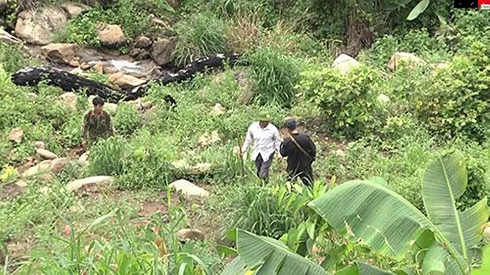 Cảnh sát Z30D phối hợp với Công an các tỉnh triệt phá nơi trồng cần sa trên núi Mây Tàu trước đây.