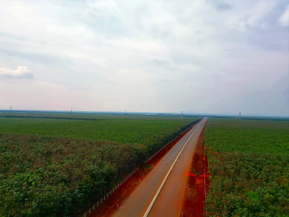 Đoạn qua tỉnh Đồng Nai. Đoạn qua tỉnh Đồng Nai.