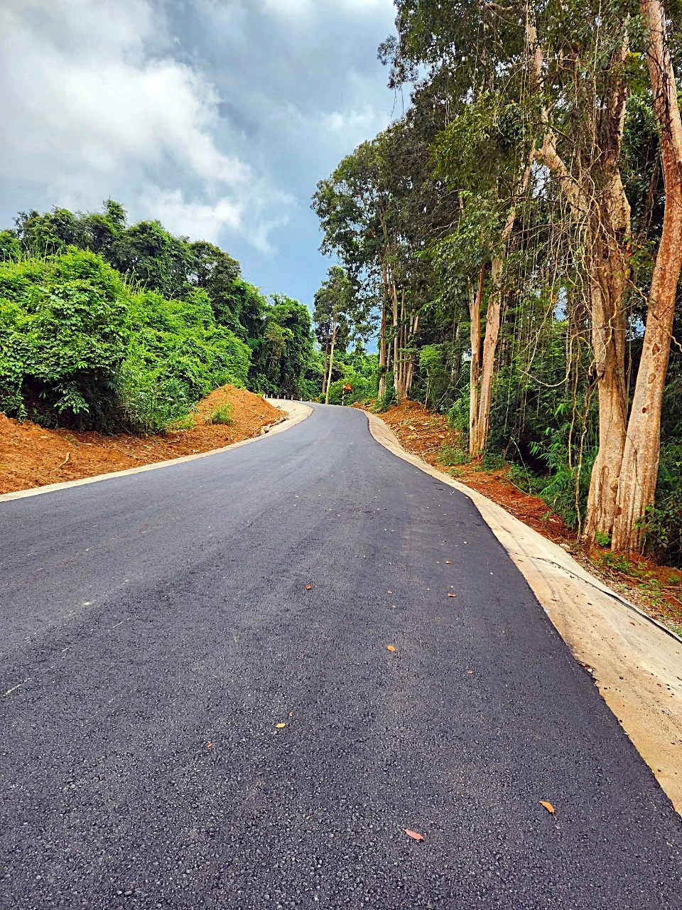 Đường vào khu di tích. Ảnh: PP