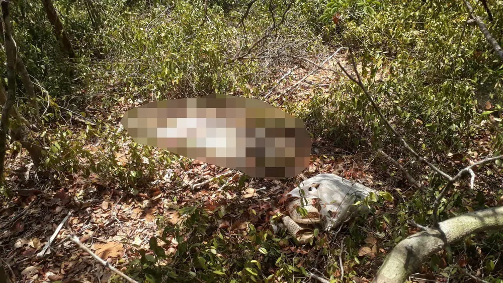 Hiện trường nơi phát hiện tử thi. Ảnh: NL Hiện trường nơi phát hiện tử thi. Ảnh: NL