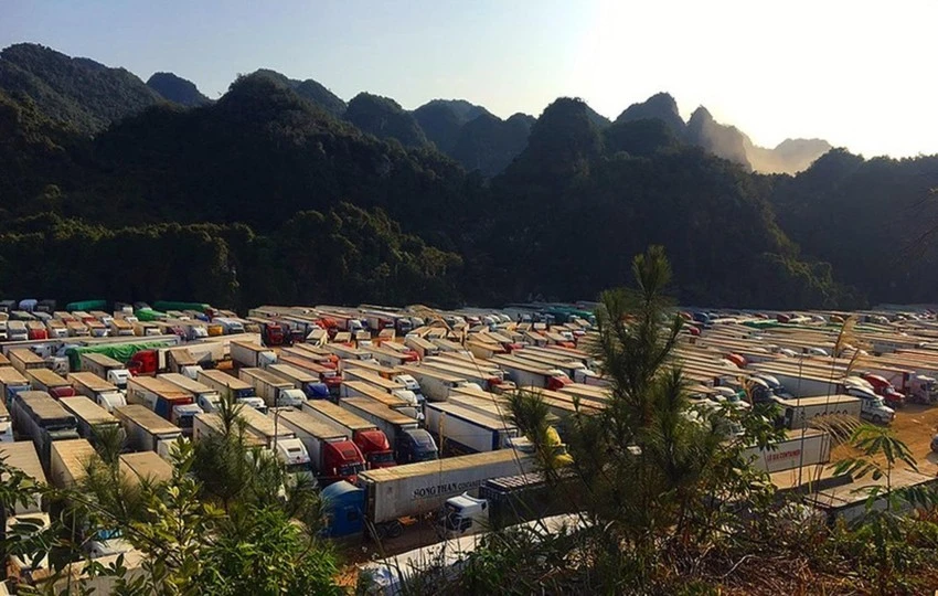 Container chở thanh long đậu kín bãi ở Lạng Sơn đầu năm 2022. Ảnh TR.