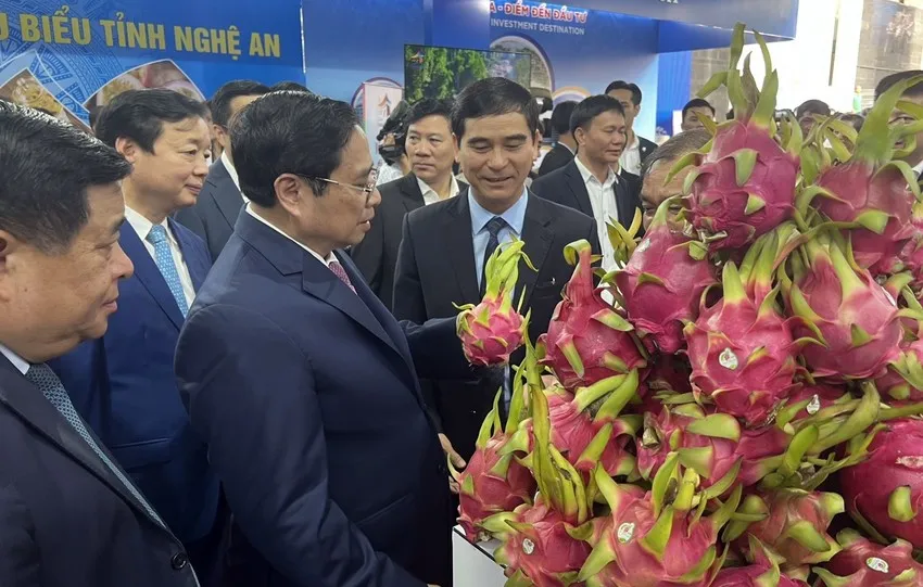 Thanh long Bình Thuận là loại quả nổi tiếng toàn cầu. Trong ảnh: Thủ tướng Chính phủ tham quan gian hàng thanh long của Bình Thuận vào tháng 2-2023.