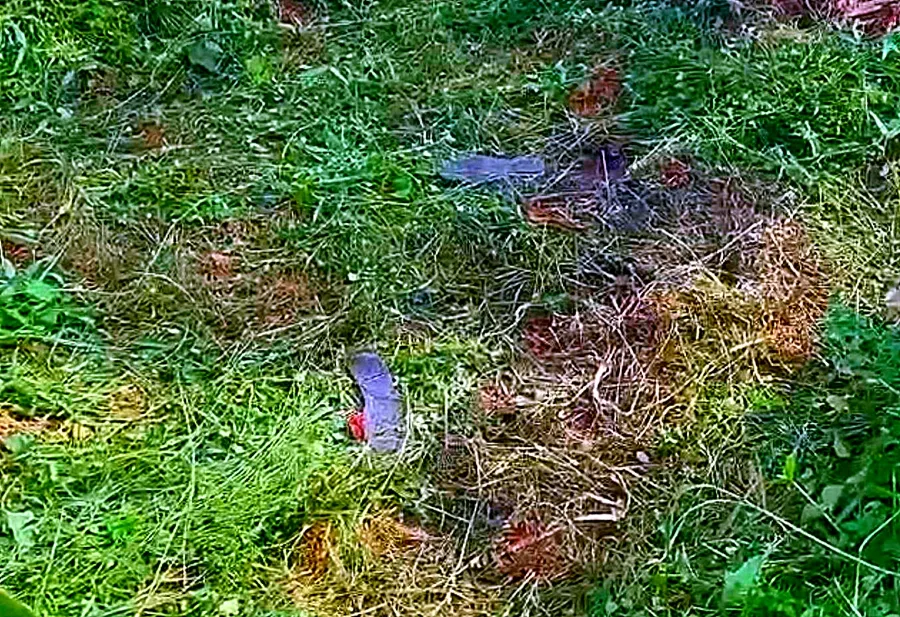 Hiện trường vụ việc. Ảnh: PP Hiện trường vụ việc. Ảnh: PP