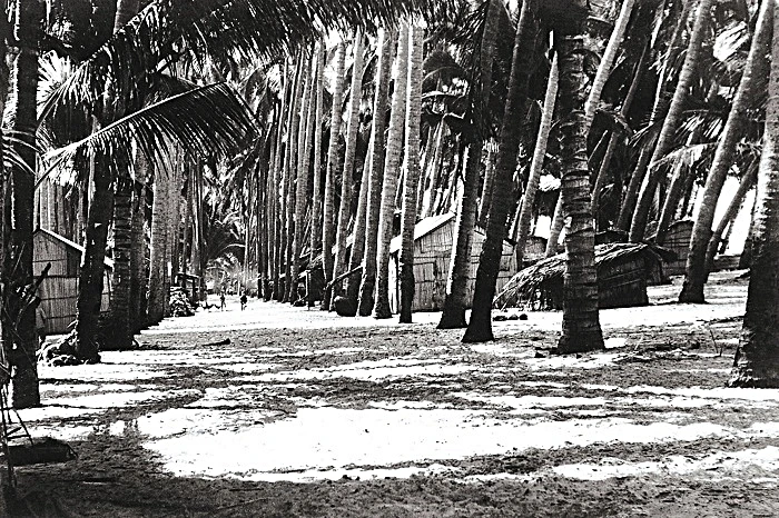 Đường đi Mũi Né trước đây rợp bóng dừa nhưng đầy cát.