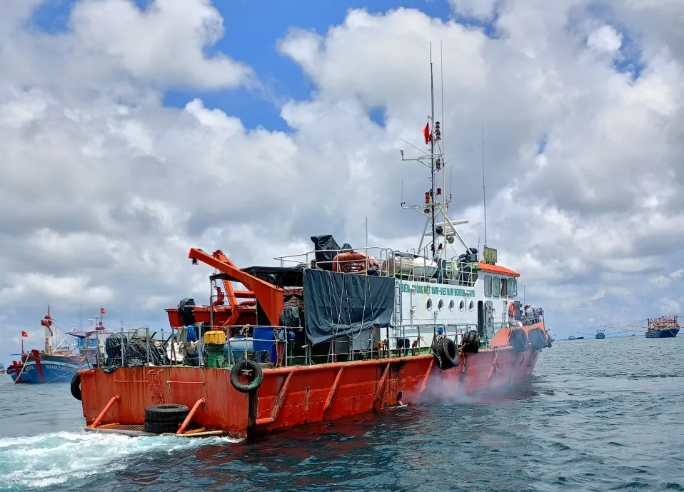 Bị cá kiếm đâm vào bụng, một thuyền viên đang nguy kịch