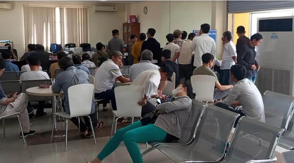 giấy phép lái xe