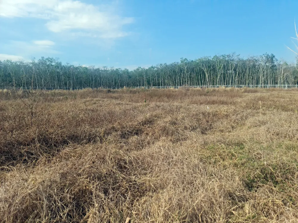 Địa điểm đặt trạm dừng chân tạm trên cao tốc Phan Thiết - Dầu Giây. cao-toc1.jpg