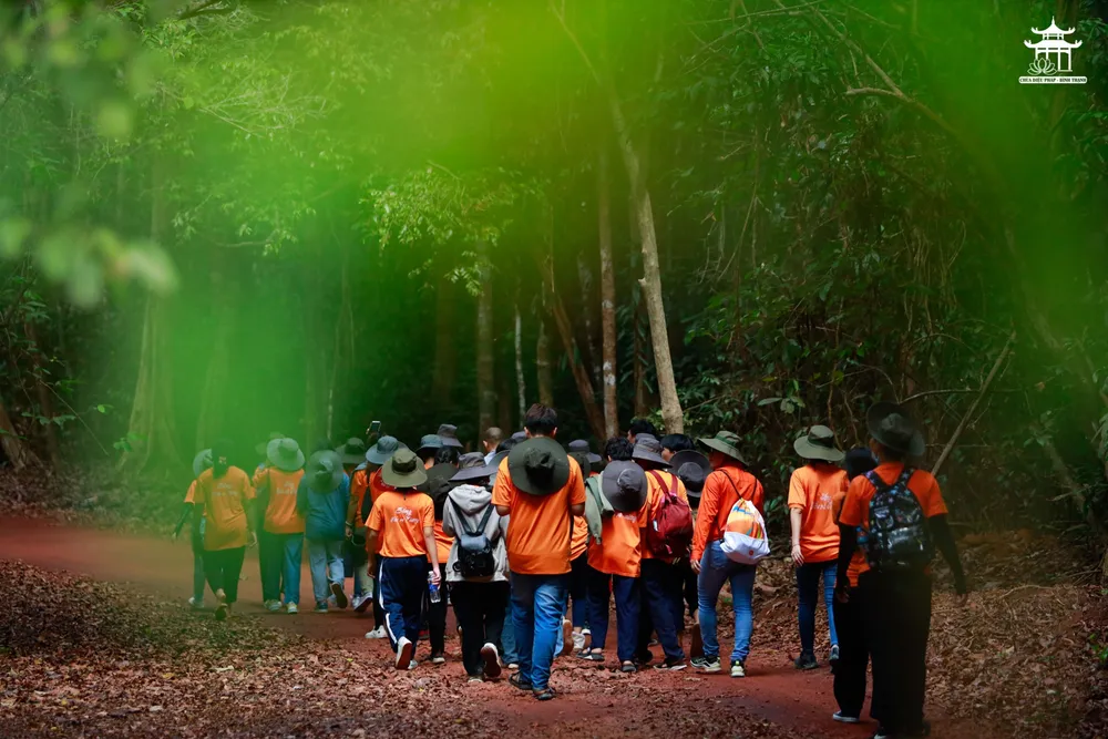 Đi dưới tán rừng. tặng rừng cho mai sau