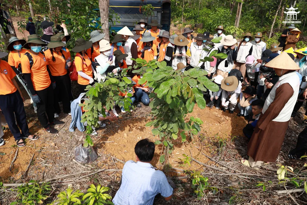Các Phật tử xem các chuyên gia hướng dẫn cách trồng rừng. tang-rung-cho-mai-sau (6).jpg