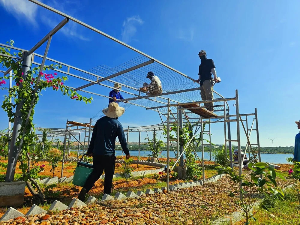 Sau khi PLO phản ánh, các công trình vi phạm đã được tháo dỡ. thang-canh-bau-trang1.jpg