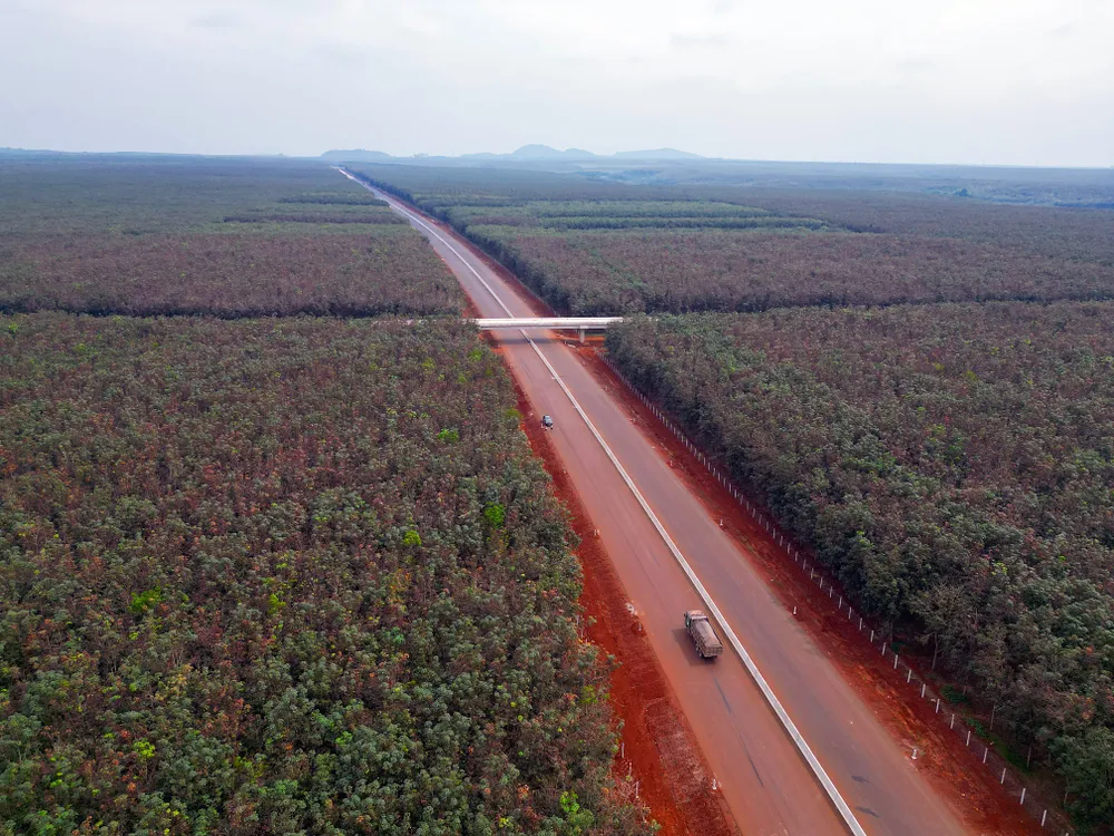 Cao tốc Phan Thiết-Dầu Giây đoạn qua Đồng Nai do Nhà nước đầu tư. Ảnh PN. nha-nuoc-dau-tu (2).JPG