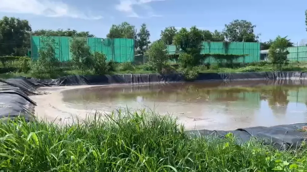 Hồ chứa và xử lý nước thải đơn giản của trang trại heo Làng Việt Nam. Ảnh: PN trang-trai-heo (1).png