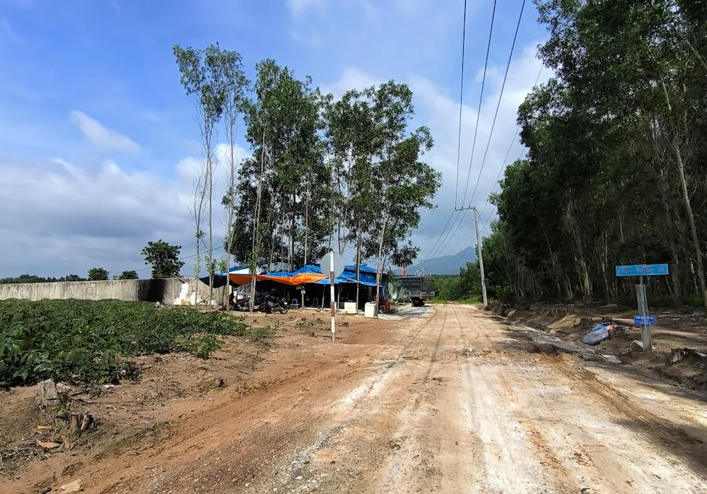Đường vào trang trại heo Tân Long. dịch tả lợn