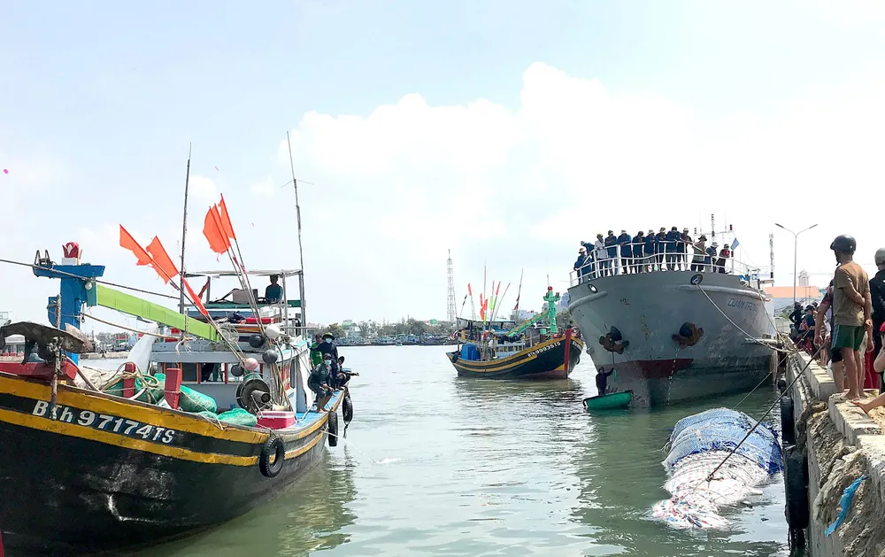 rơi xuống biển mất tích