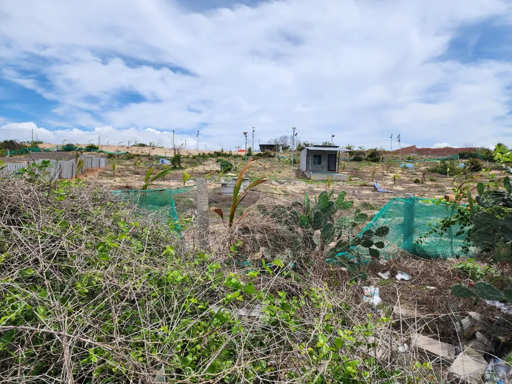 chủ tịch huyện