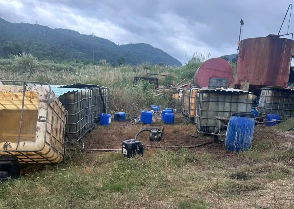 tai-che-nhot-thai (3).jpg